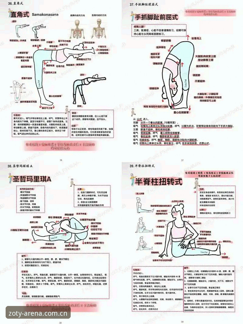 中欧体育使用教程对比最新动态：从新手到高手的完整操作指南